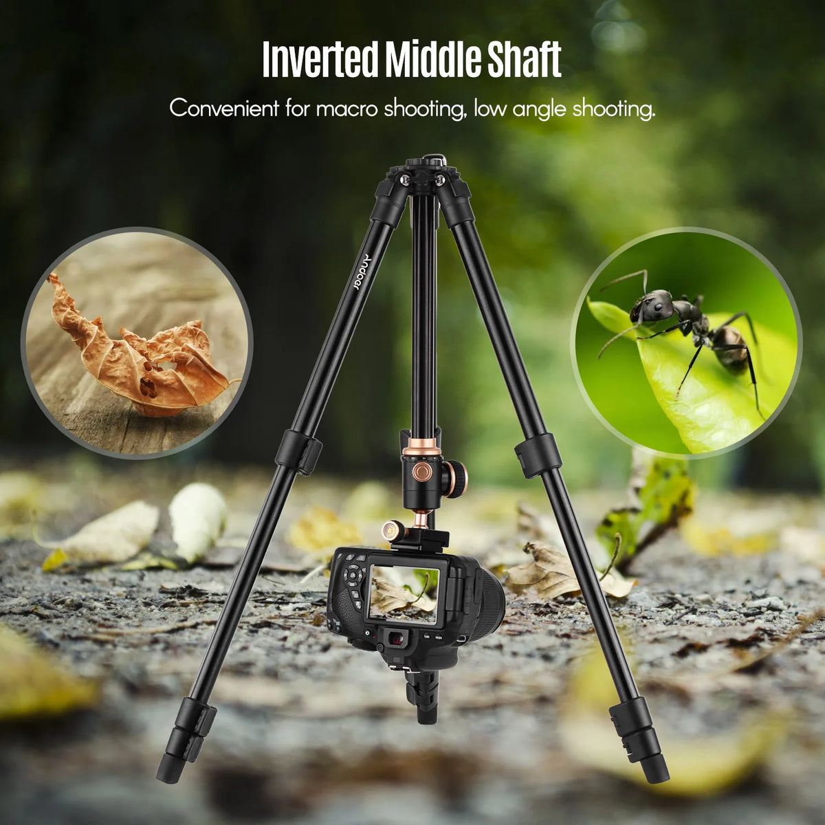 Andoer Q160SA Tripods Camera Tripod With Panoramic Ballhead Tripod for DSLR Digital Cameras Camcorder Canon Nikon Sony Camera