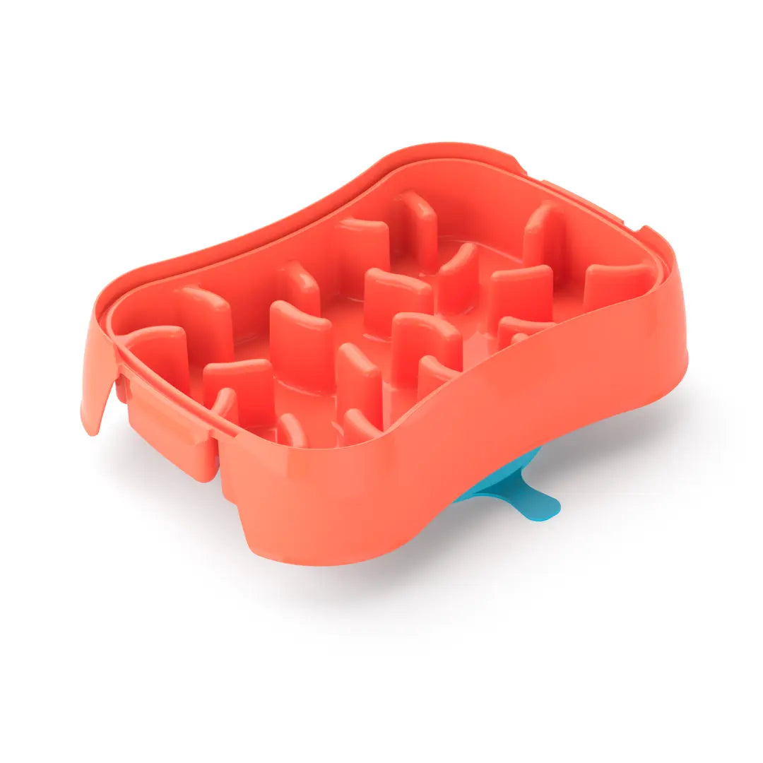 4-In-1 Slow Feeder Dog Bowl (Modalyst)