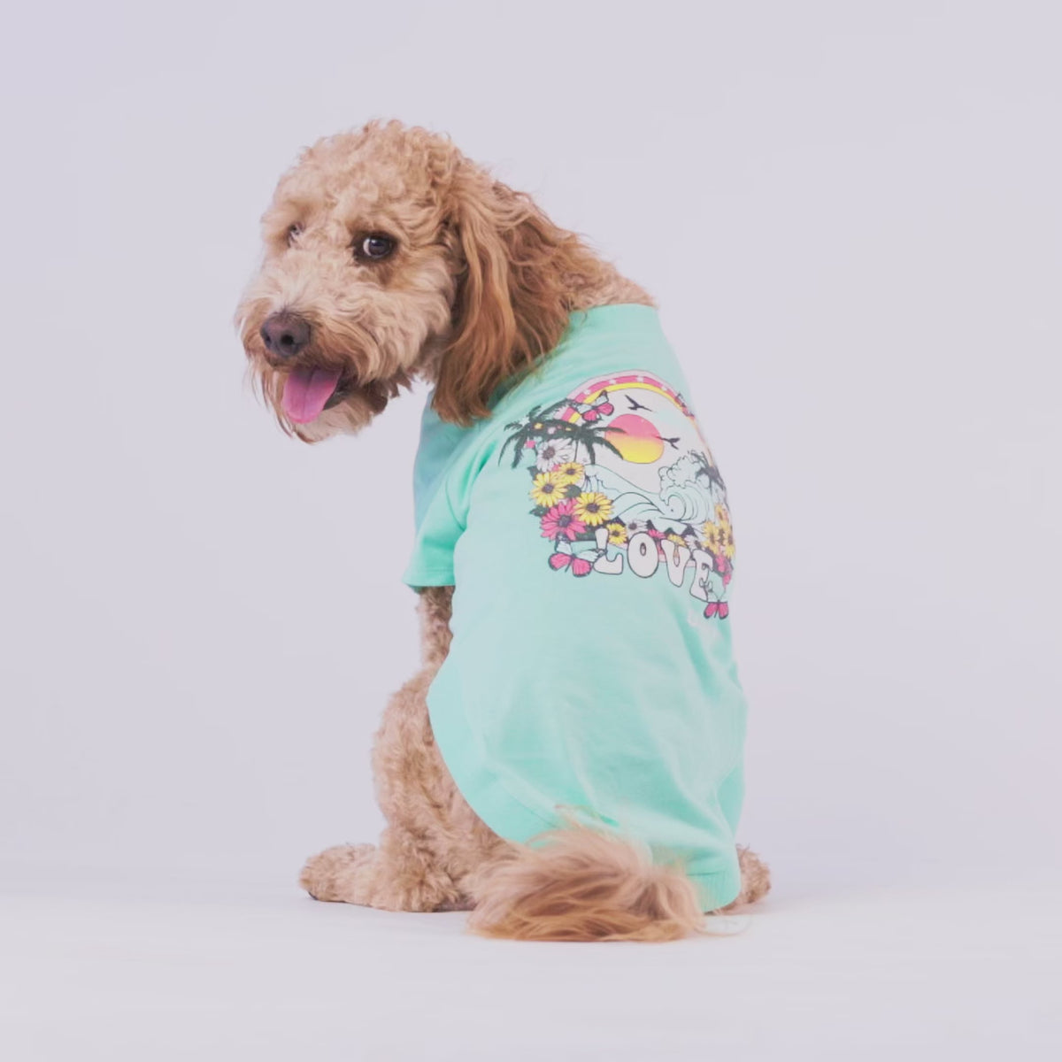 Graphic Tee - Aqua