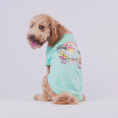 Graphic Tee - Aqua