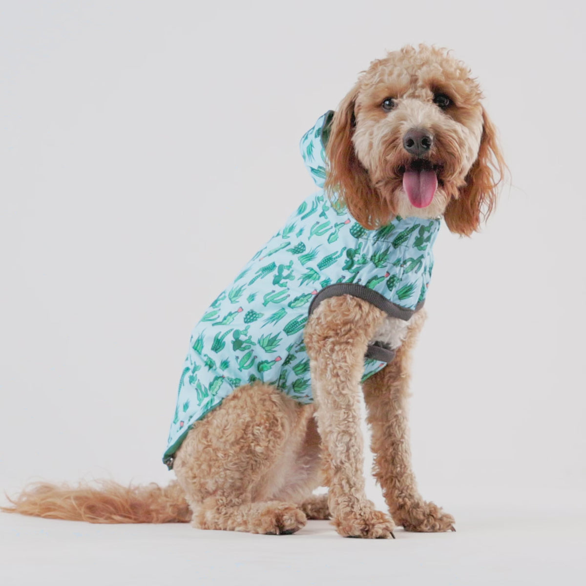 Reversible Elasto-Fit Raincoat - Green/Green
