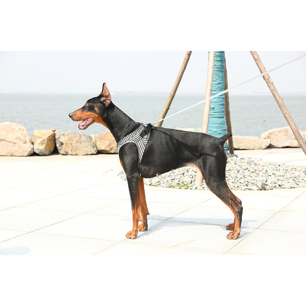 Instachew PETKIT Air Fly Dog Harness