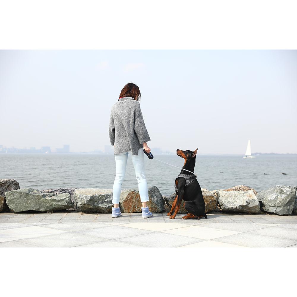 Instachew PETKIT Air Fly Dog Harness