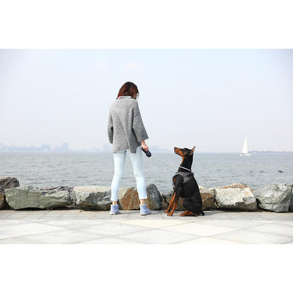 Instachew PETKIT Air Fly Dog Harness