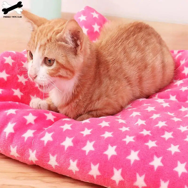 Winter Warm Pet Dog Soft Cushion Large Print Flannel Cotton Mattress Cat Pet Mat Bed Pad Rug Cartoon Printed Cat and Dog Pad