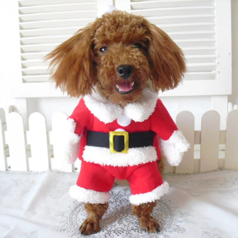 Winter Christmas Pet Cat Costumes Funny Santa Claus Clothes for Small Cats Dogs Xmas New Year Cat Clothing Kitty Kitten Outfits