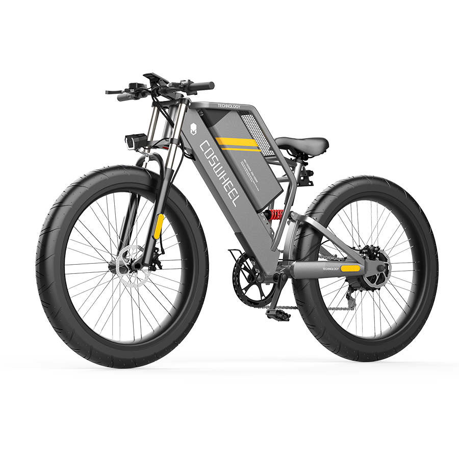 Bici Elettrica E Bike 1000w 48v Electric Bike 1000w Electric Bicycle Fat Tire Electric Bike