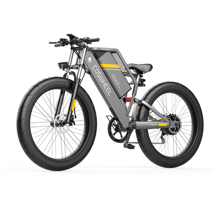 Bici Elettrica E Bike 1000w 48v Electric Bike 1000w Electric Bicycle Fat Tire Electric Bike
