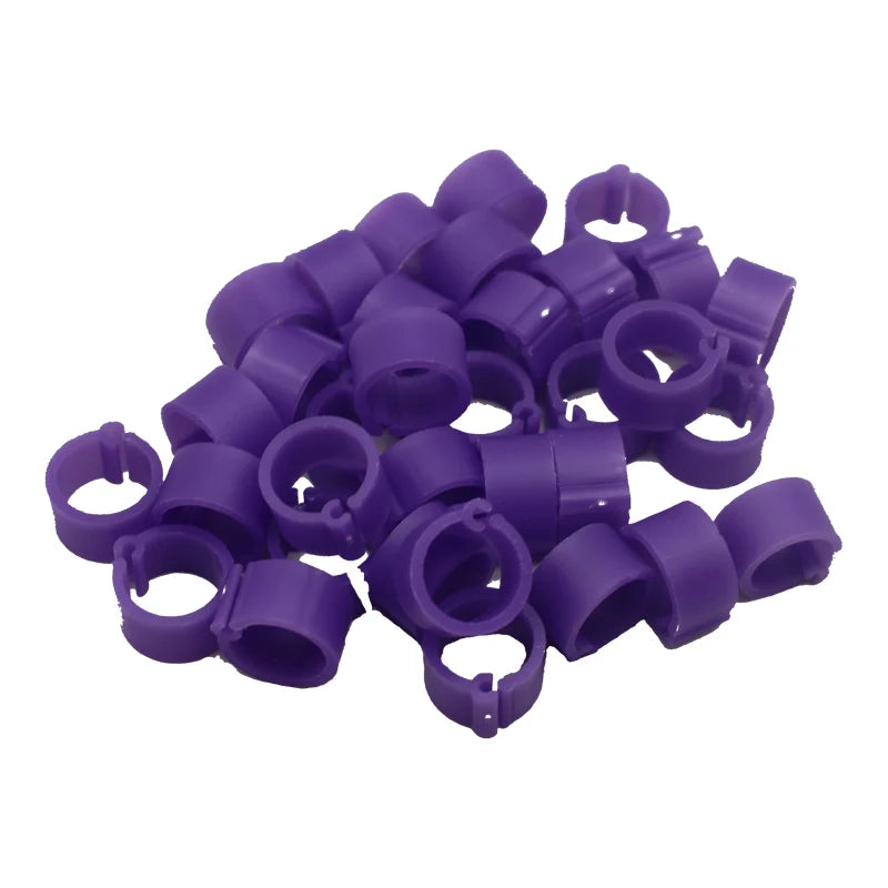 100 Pcs 8mm Inner Diameter 7mm Height Birds Foot Rings 10 Colors Without Text Parrot Pigeon Identification Ring Birds Carriers