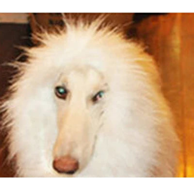 Cute Pet Cosplay Clothes Transfiguration Costume Lion Mane Winter Warm Wig Cat Large Dog Party Decoration With Ear Pet Apparel