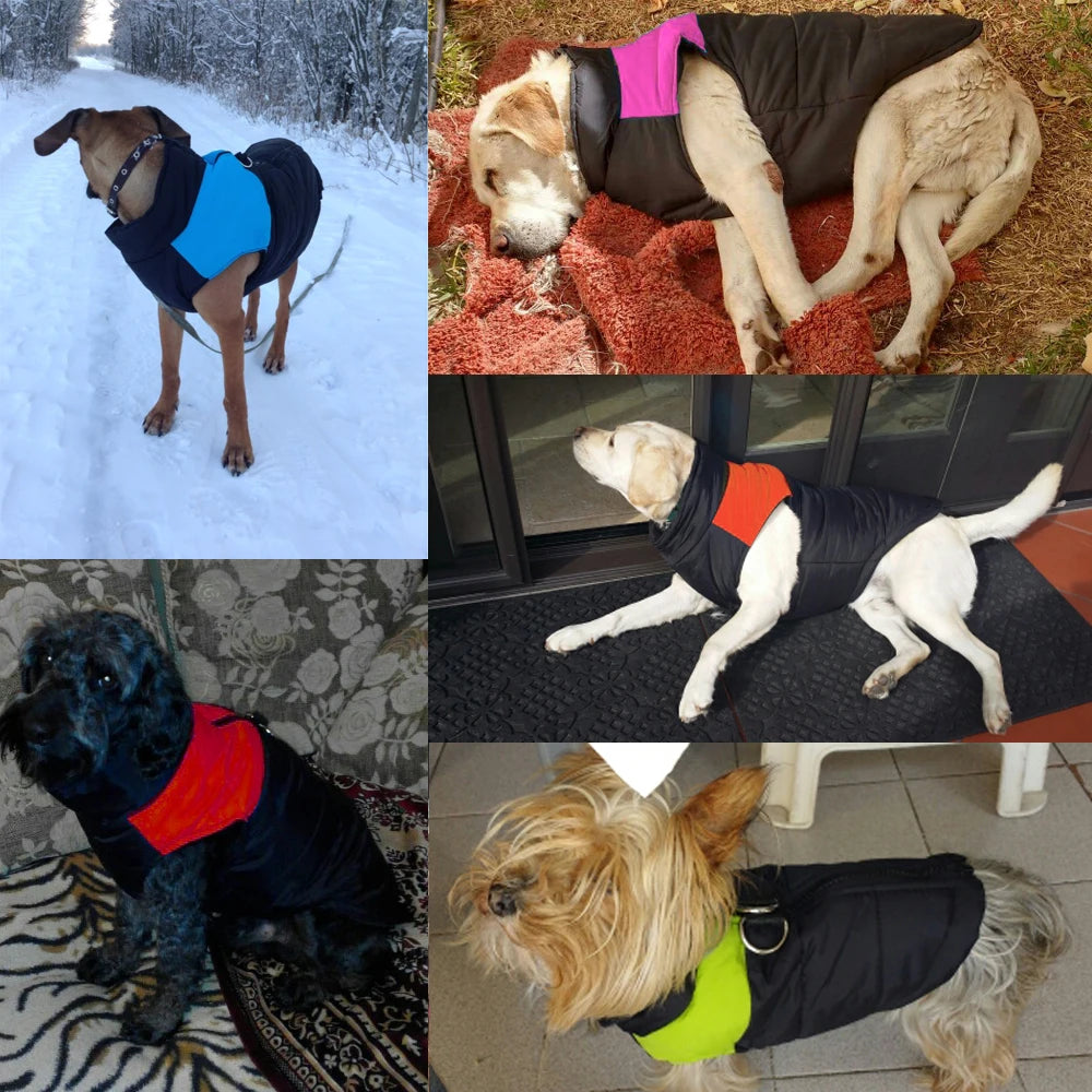 Winter Pet Dog Puppy Clothes Vest Jacket Chihuahua Clothing Warm Dog Clothes Coat for Small Medium Large Dogs 4 Colors S-5xl