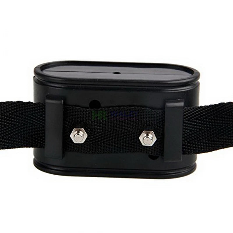Electronic Fence Receiver Collar for W227 W227B In-Ground Pet Dog Electric Fence Electronic Training Collar Accessories