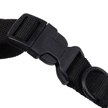 New 300M Remote Electronic Dog Training Collars With LCD Blue Screen Display Rechargeable 100 Levels Pet Electronic Dog Collars