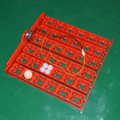 36 Eggs/144 Bird Eggs Incubator Hatcher Mini Hatchery Egg Incubator Hatcher Automatic Egg Turning Tray Tool Incubation Equipment