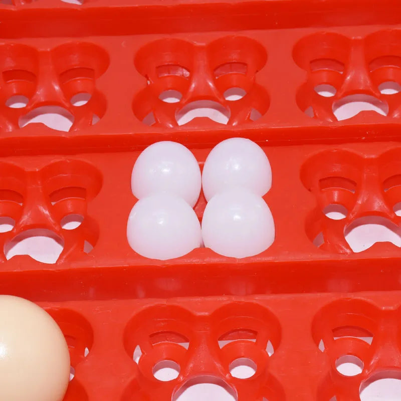 36 Eggs/144 Bird Eggs Incubator Hatcher Mini Hatchery Egg Incubator Hatcher Automatic Egg Turning Tray Tool Incubation Equipment
