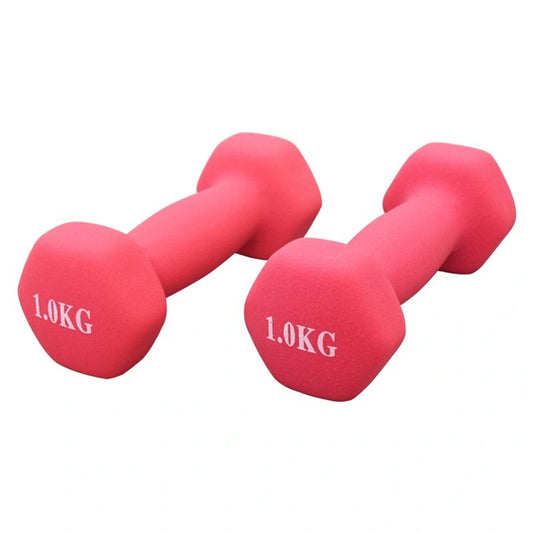 Popular Neoprene Dumbbells Gym Weights for Exercise Dumbbell Gym Equipment Fitness