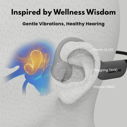 HearLink Hearing Essential Kit