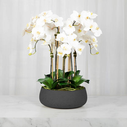 Faux White Orchid Arrangement in Matte Black Planter