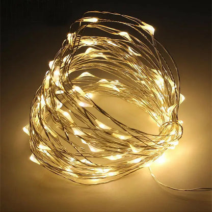 Battery Powered Copper Wire LED String Lights for Holiday Decoration
