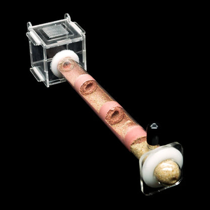 DIY Ecological Ant Farm Bamboo Tube Nest With Feeding Area Various Size Ant House for Workshop Pet Anthill Ant Nest With Bracket