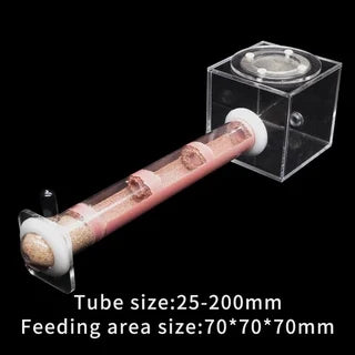 DIY Ecological Ant Farm Bamboo Tube Nest With Feeding Area Various Size Ant House for Workshop Pet Anthill Ant Nest With Bracket