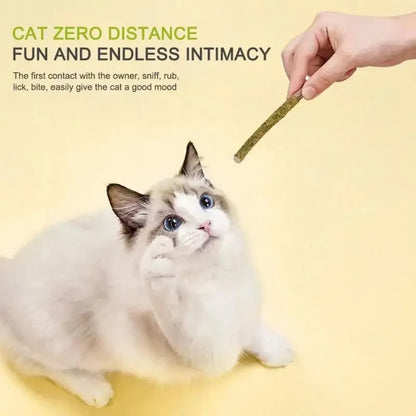 6pcs Natural Matatabi Cat Stick Mint Caught Bite Excited Rods Silvervine for Cat Teeth Cleaning Treating Pet Supply Cat Toys