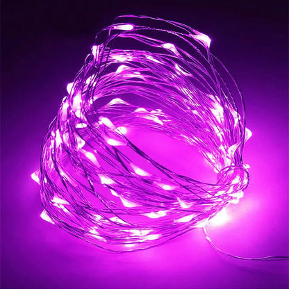 Battery Powered Copper Wire LED String Lights for Holiday Decoration