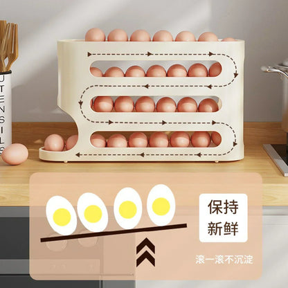 Egg organizer