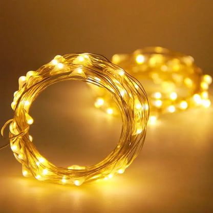 Battery Powered Copper Wire LED String Lights for Holiday Decoration