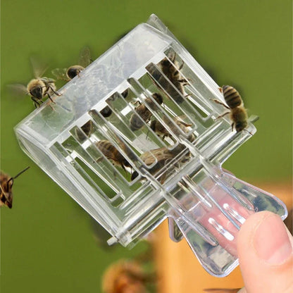 Beekeeper Bee Cage Beehive Honey Beekeeping Queen Plastic Clip Cage Cage Beekeeping Tools Equip Isolation Room 3 Pcs