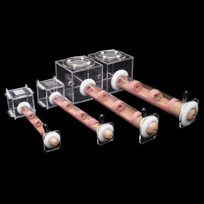 DIY Ecological Ant Farm Bamboo Tube Nest With Feeding Area Various Size Ant House for Workshop Pet Anthill Ant Nest With Bracket