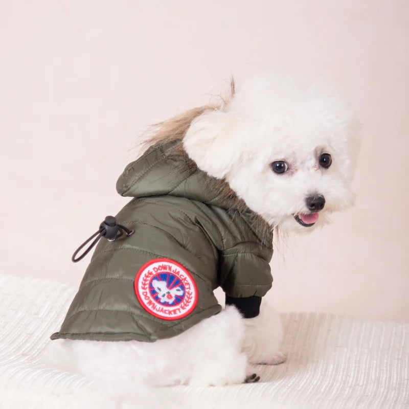 Dog Clothes Hooded Down Jacket Thickened Fashion Warm Pet Coat Puppy Clothing French Bulldog Pug Costumes for Small Dogs