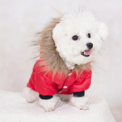 Dog Clothes Hooded Down Jacket Thickened Fashion Warm Pet Coat Puppy Clothing French Bulldog Pug Costumes for Small Dogs