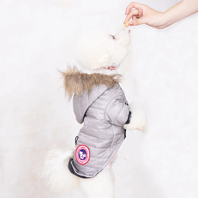 Dog Clothes Hooded Down Jacket Thickened Fashion Warm Pet Coat Puppy Clothing French Bulldog Pug Costumes for Small Dogs