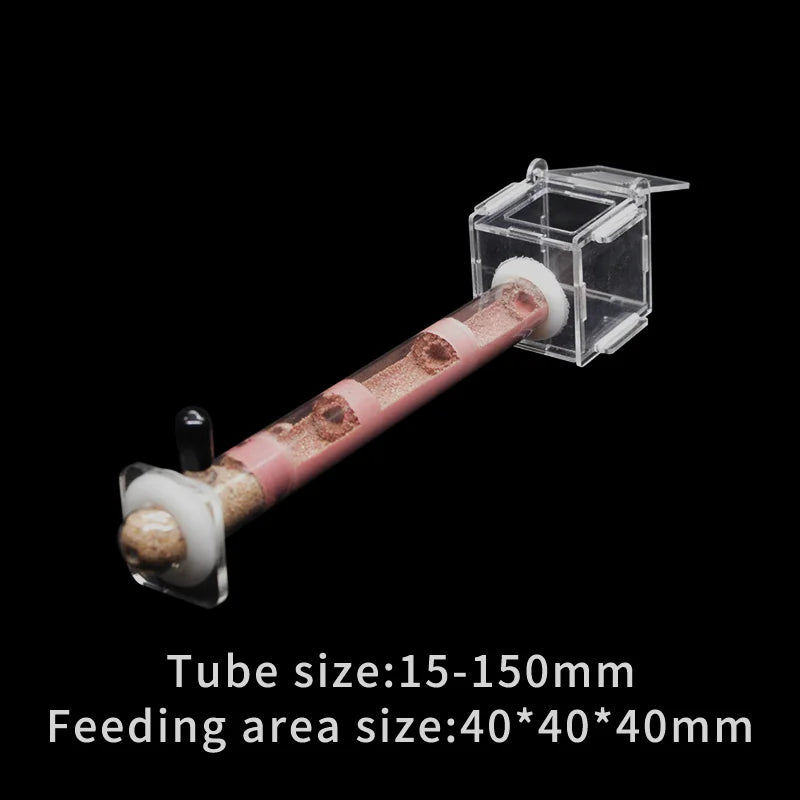 DIY Ecological Ant Farm Bamboo Tube Nest With Feeding Area Various Size Ant House for Workshop Pet Anthill Ant Nest With Bracket