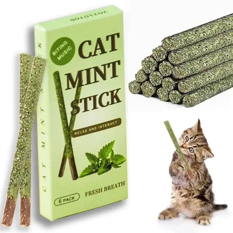 6pcs Natural Matatabi Cat Stick Mint Caught Bite Excited Rods Silvervine for Cat Teeth Cleaning Treating Pet Supply Cat Toys