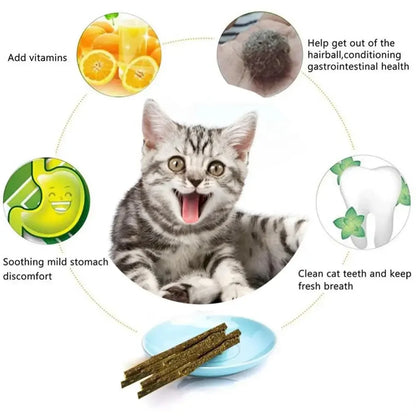 6pcs Natural Matatabi Cat Stick Mint Caught Bite Excited Rods Silvervine for Cat Teeth Cleaning Treating Pet Supply Cat Toys
