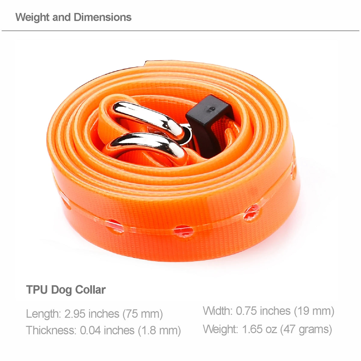 High Quality Large Dog Collar 75CM Adjustable TPU Durable Waterproof Pet Dog Collar for Puppy Strap Pure Color Dog Accessories