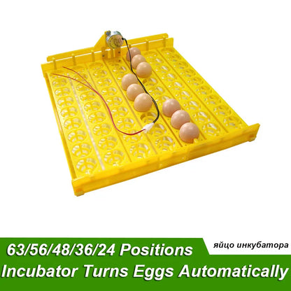 Incubator Motor or Egg Tray 56/48/36/24 Eggs Positions Motor Size 220V OR 110V Optional Farm Poultry Hatching Device 1 Pcs / Lot