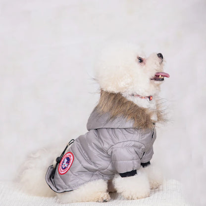 Dog Clothes Hooded Down Jacket Thickened Fashion Warm Pet Coat Puppy Clothing French Bulldog Pug Costumes for Small Dogs