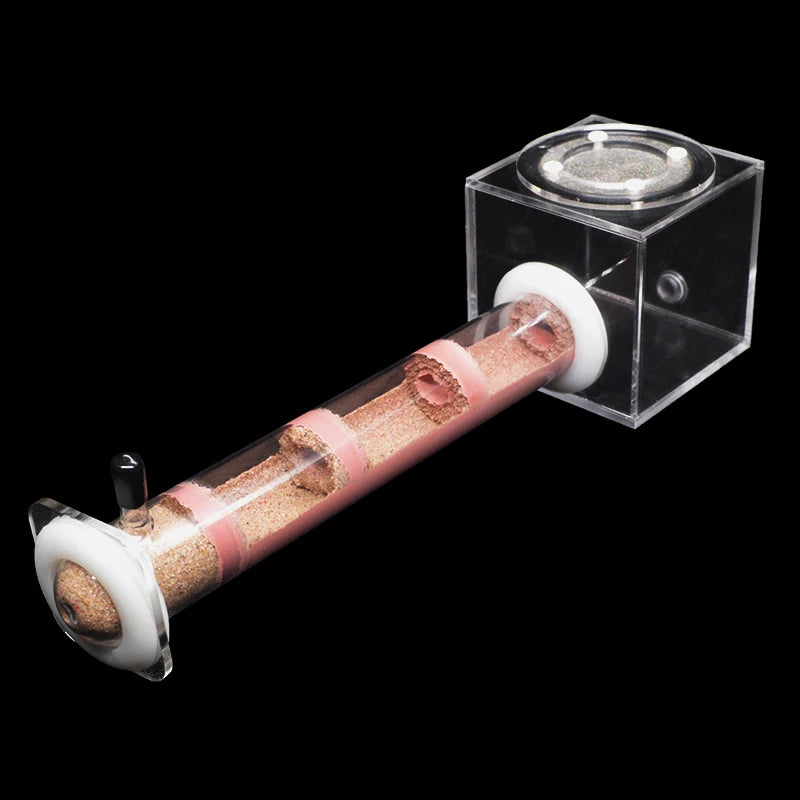 DIY Ecological Ant Farm Bamboo Tube Nest With Feeding Area Various Size Ant House for Workshop Pet Anthill Ant Nest With Bracket