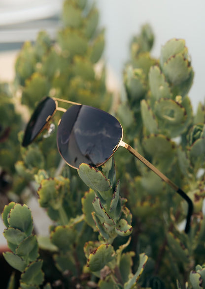 Titanium Aviators - V2 - Changeable Lenses
