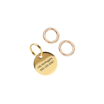 Halo Pet ID Tag & Charm