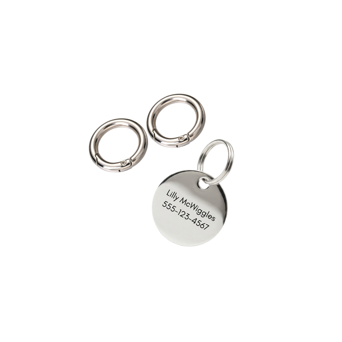 Halo Pet ID Tag & Charm
