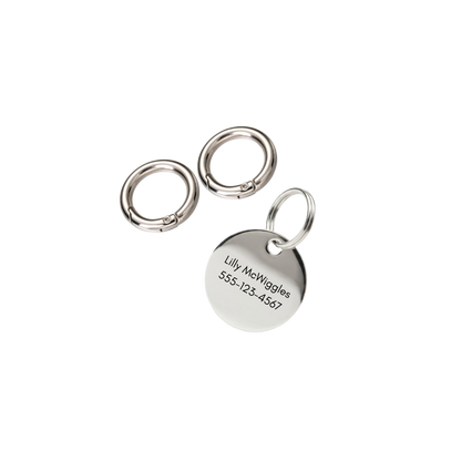 Halo Pet ID Tag & Charm