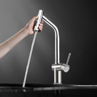 HIGOLD BN1.0 IF Design Award Single Handle Pull Down Sprayer Kitchen Faucet, Black Gold Finished, Brushed Nickel