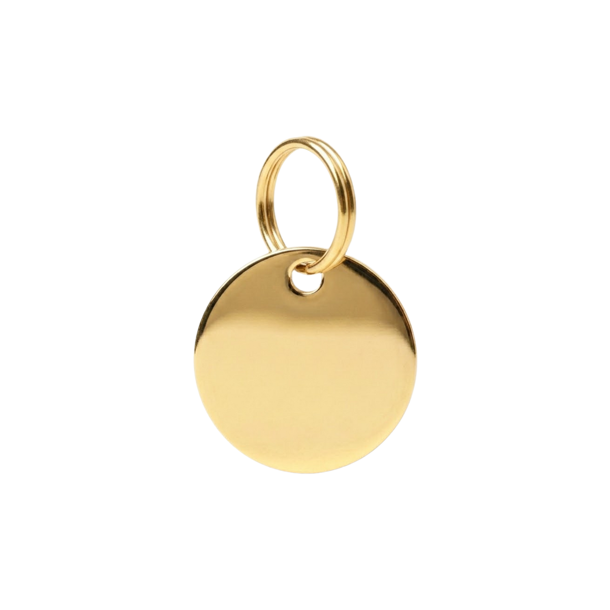 Halo Pet ID Tag & Charm
