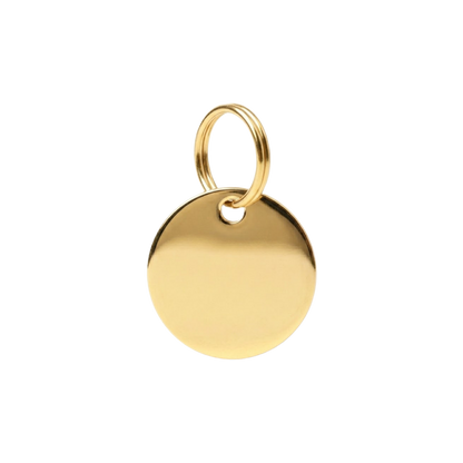 Halo Pet ID Tag & Charm